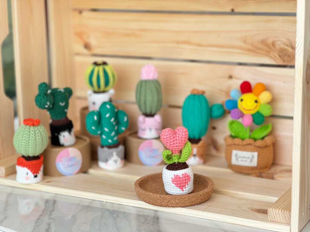 NEW members join Cactus Family!