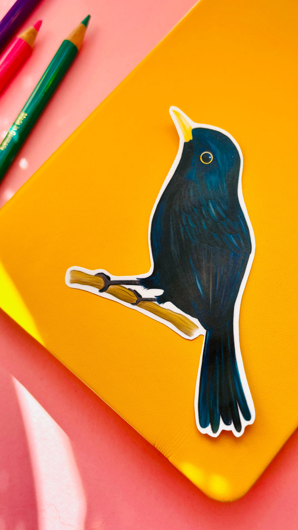 Blackbird Vinyl Sticker- British Wildlife Art Waterproof Sticker