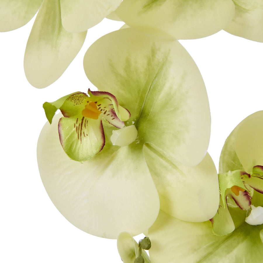 Lifelike faux Phalaenopsis orchid in natural green tones, perfect for home decor by Sostter at brixbailey.com
