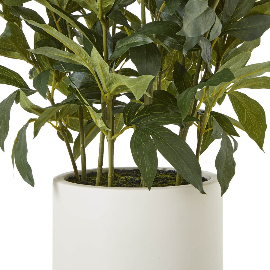 Large white faux peony plant with green stems, lifelike petals, and natural foliage for home decor by Sostter at brixbailey.com