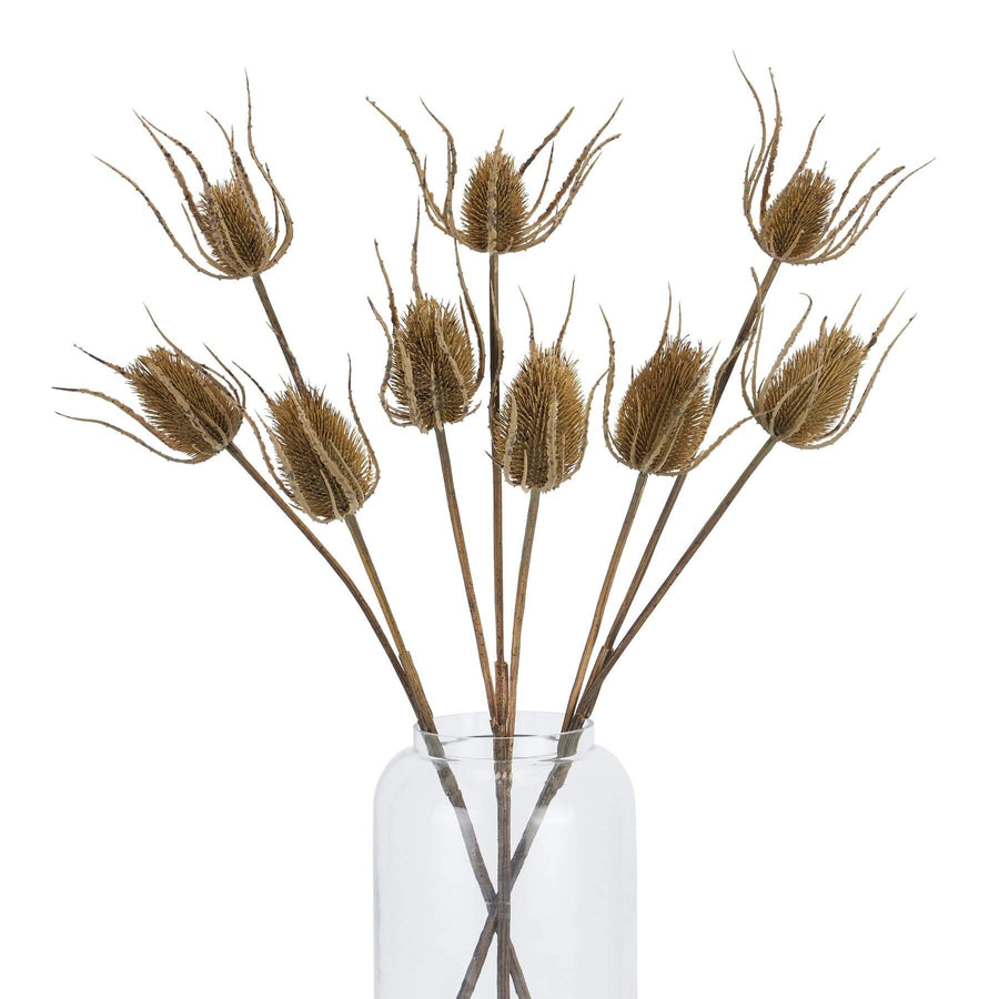 Handcrafted artificial teasle stem with 3 hyper-realistic brown seed heads, 85cm tall, for year-round botanical decor by Sostter at brixbailey.com