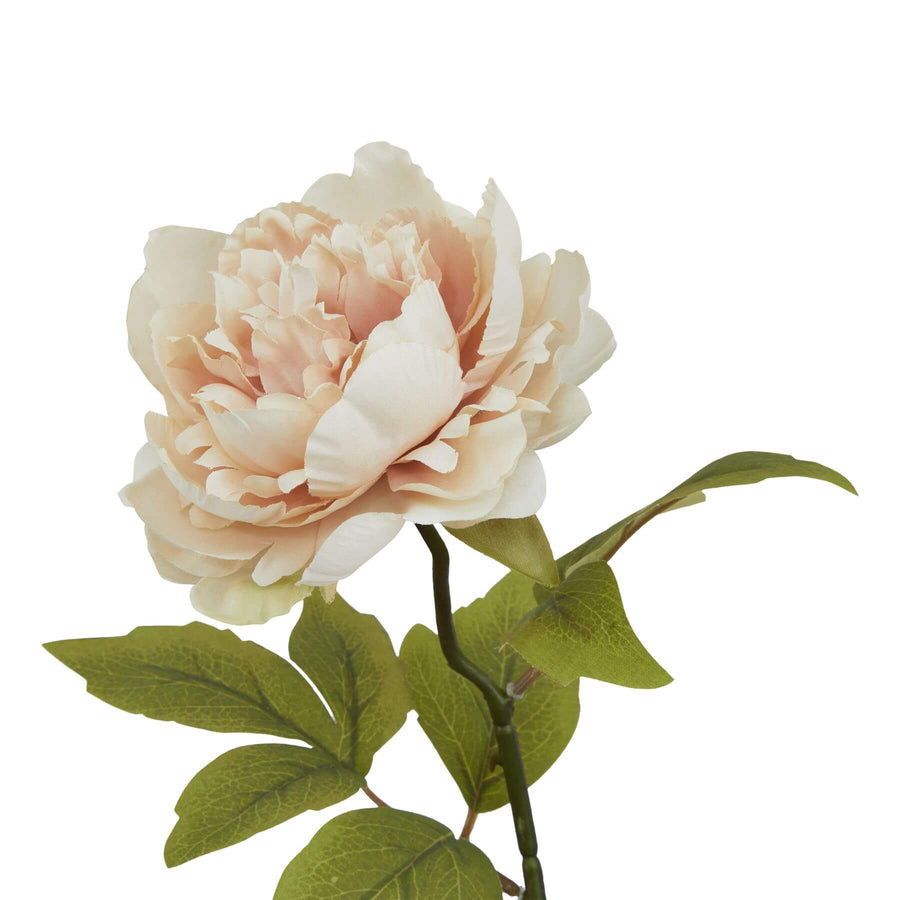 Blush pink faux peony stem with lifelike petals and foliage, 52cm artificial flower for home decor by Sostter at brixbailey.com