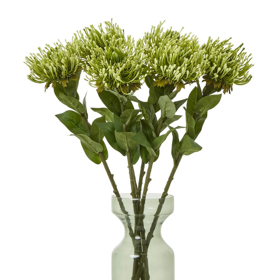 Lush green faux protea stem with hyper-realistic pom-pom blooms, 73cm tall, for elegant floral arrangements by Sostter at brixbailey.com