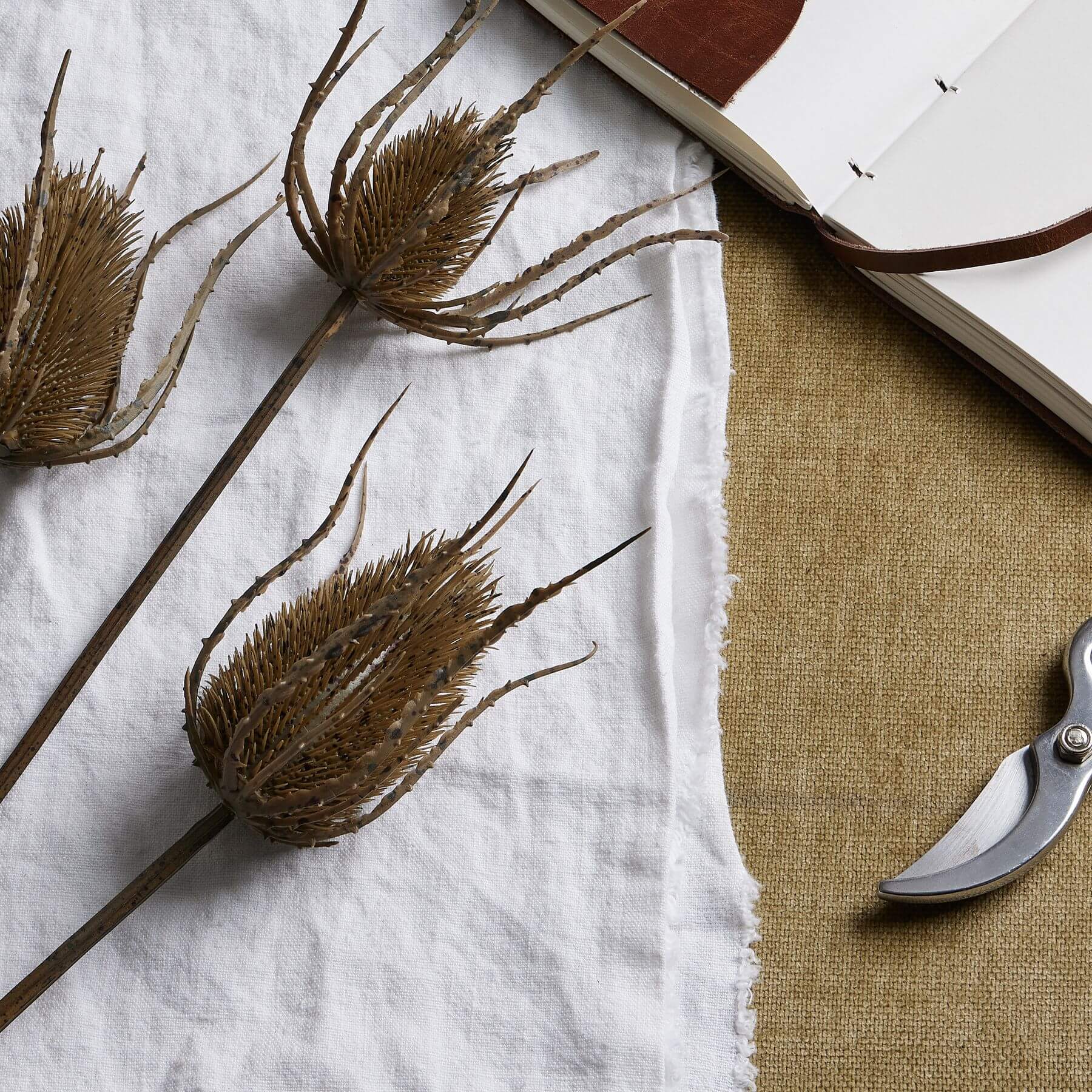 Handcrafted artificial teasle stem with three hyper-realistic brown seed heads, 85 cm tall for elegant home decor by Sostter at brixbailey.com
