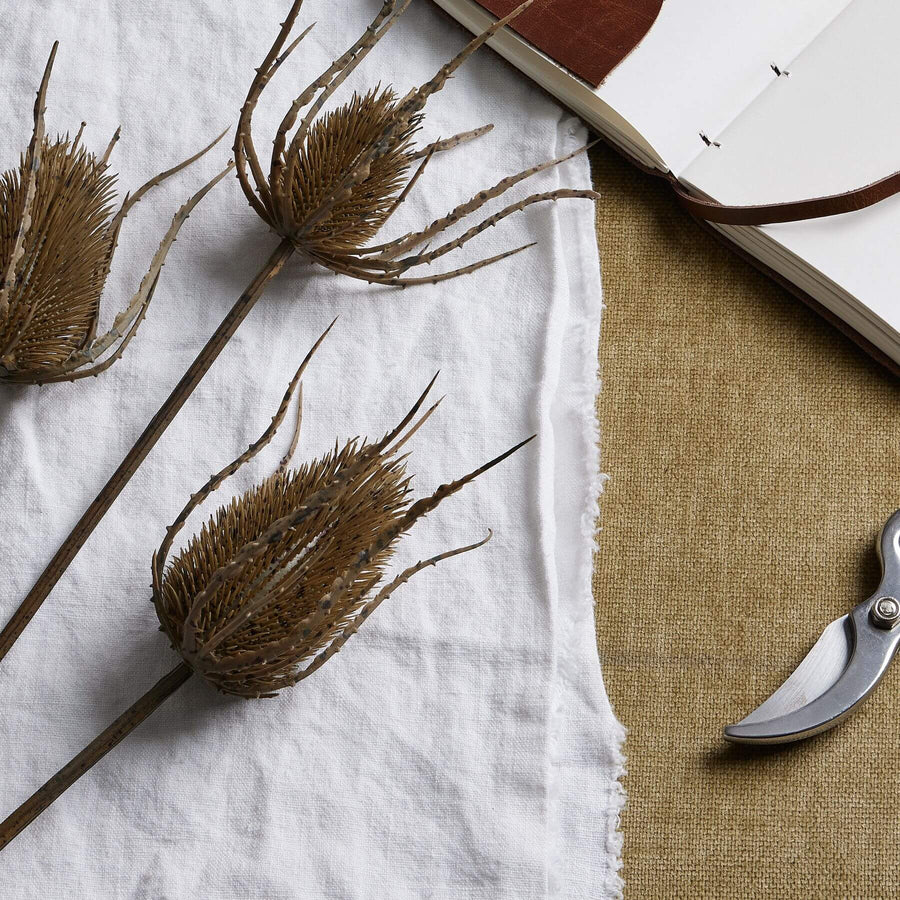 Handcrafted artificial teasle stem with three hyper-realistic brown seed heads, 85 cm tall for elegant home decor by Sostter at brixbailey.com