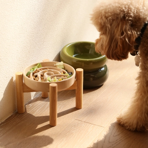 Wave Slow Feeder Dog Bowl in Pink, Beige or Orange