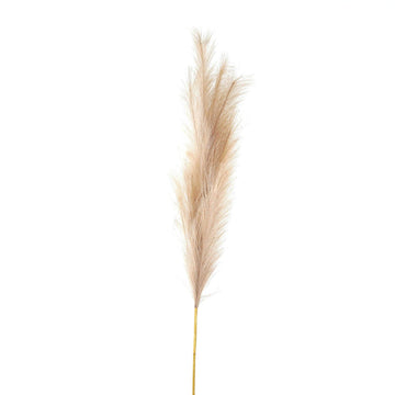 Luxurious bleached faux pampas grass stem, 120cm tall, with airy white plume for allergy-free home dÃ©cor by Sostter at brixbailey.com