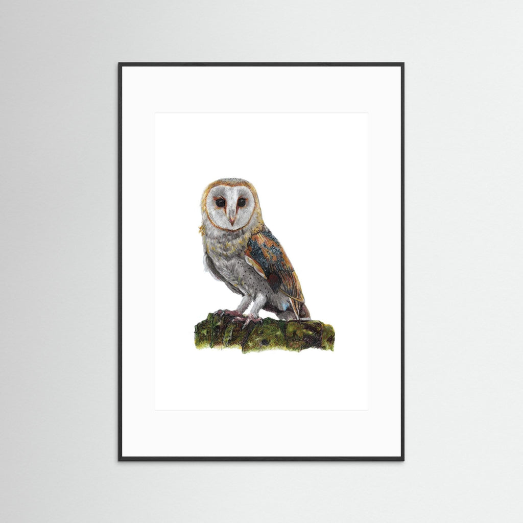 Barn Owl Art Print Wildlife Wall Art for Nature Lovers