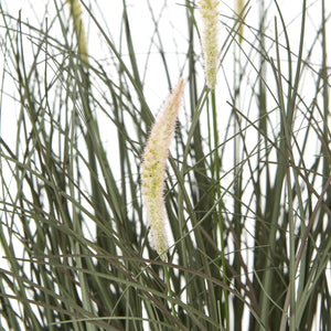 Lifelike faux fountain grass in natural green with feathery plumes, displayed in sleek black pot. by sostter at brixbailey.com