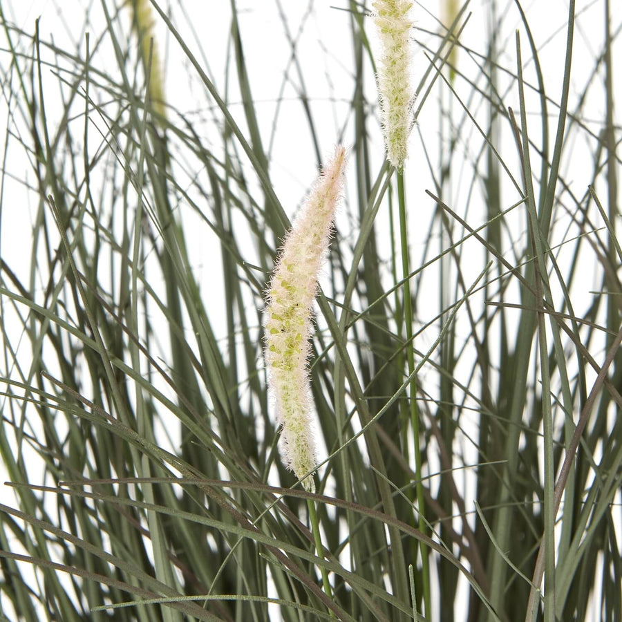 Lifelike faux fountain grass in natural green with feathery plumes, displayed in sleek black pot. by Sostter at brixbailey.com