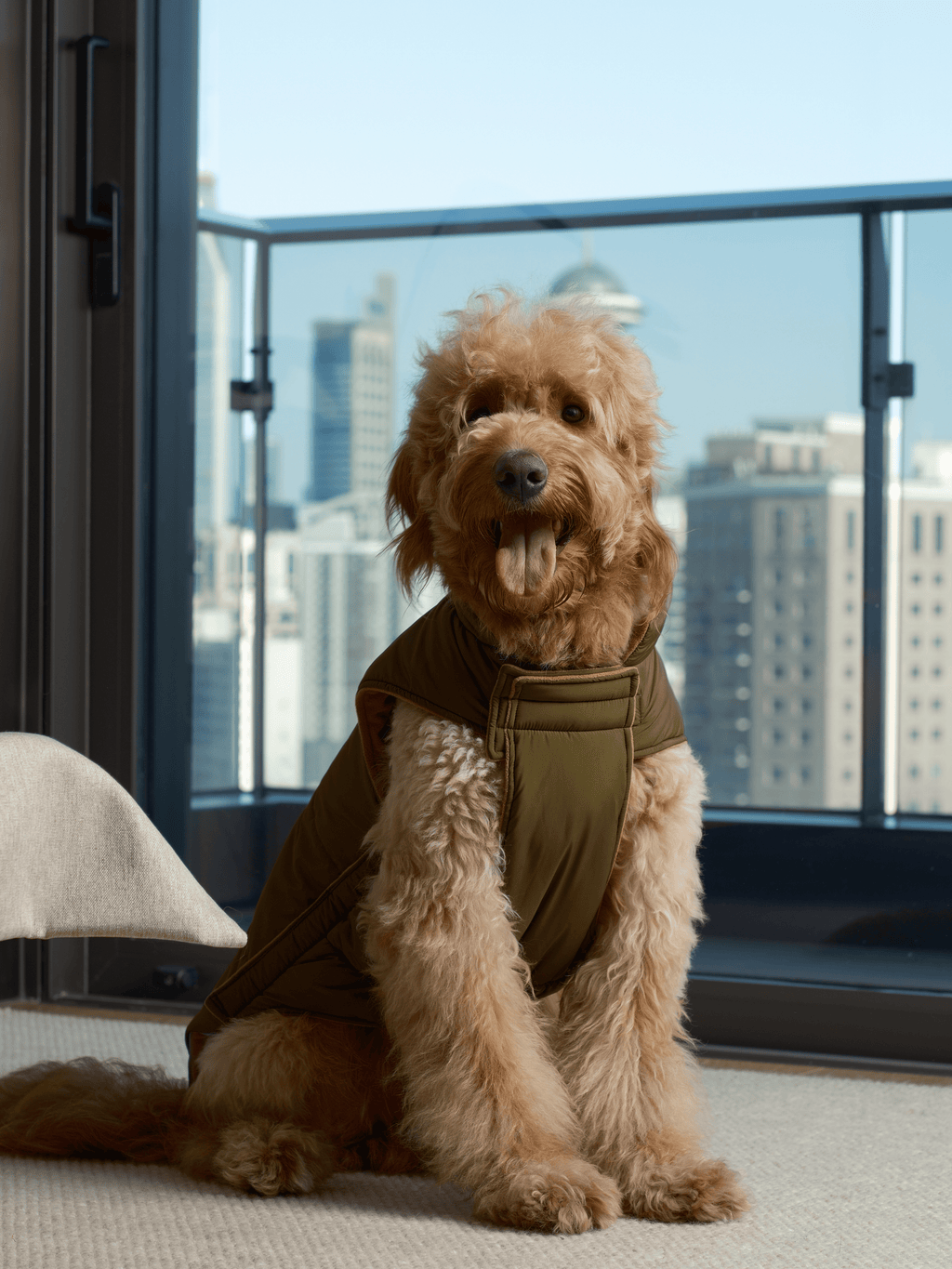 Reversible Dog Vest Jacket in Green and Brown