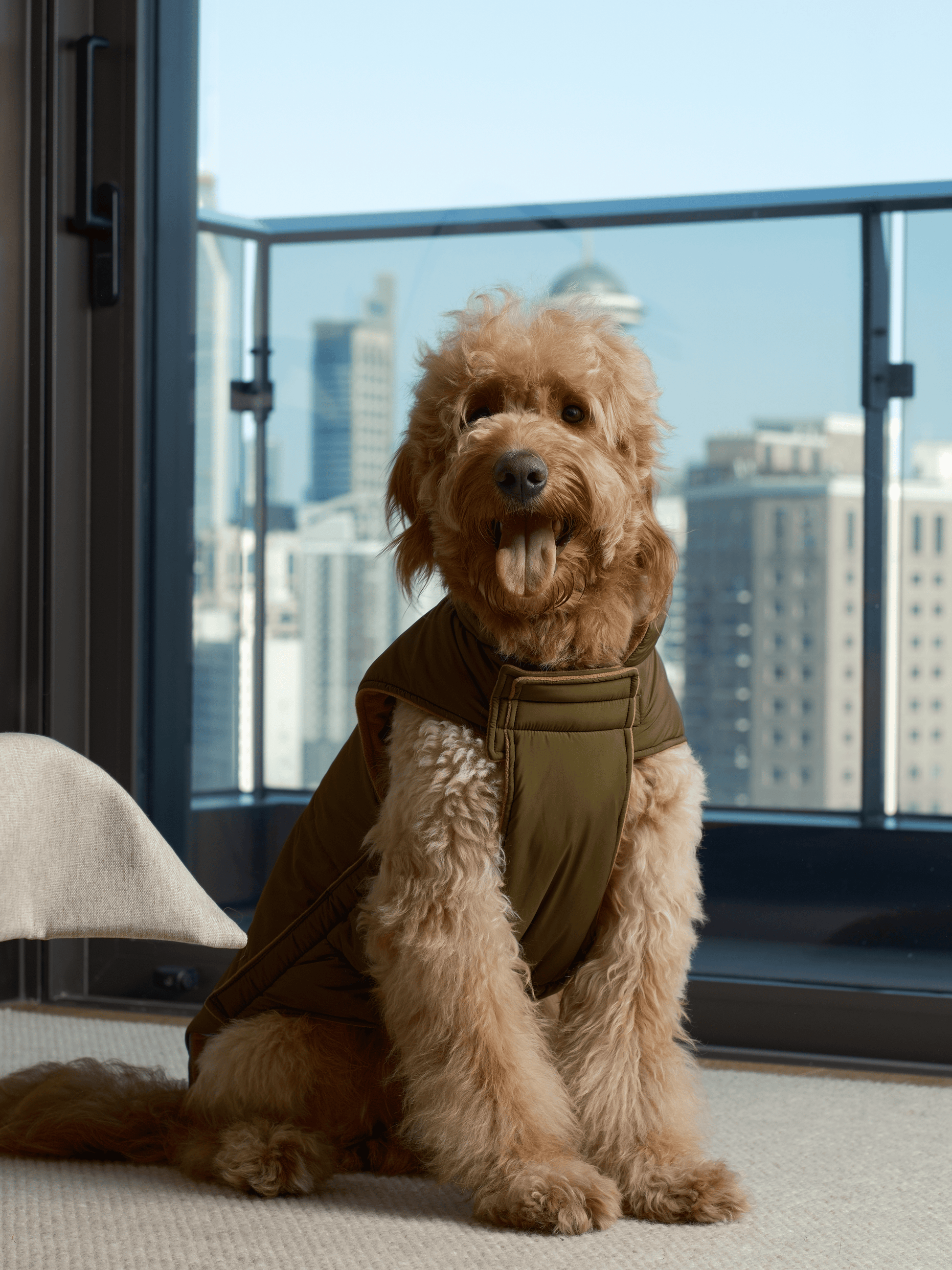 Reversible Dog Vest Jacket in Green and Brown