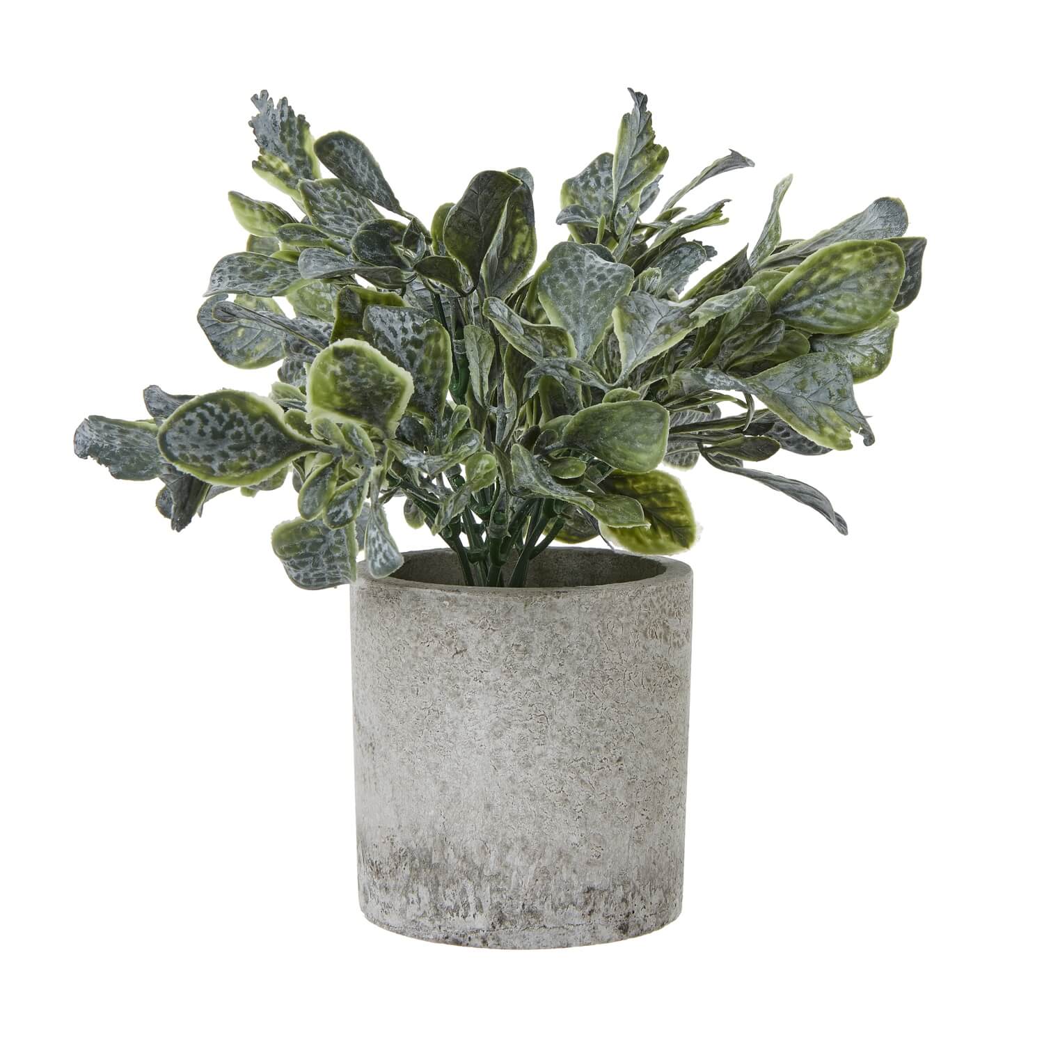 Small Giana artificial eucalyptus plant in grey concrete pot, lifelike silvery-green foliage with realistic texture by Sostter at brixbailey.com