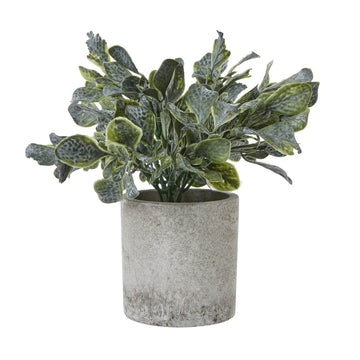 Small Giana artificial eucalyptus plant in grey concrete pot, lifelike silvery-green foliage with realistic texture by Sostter at brixbailey.com