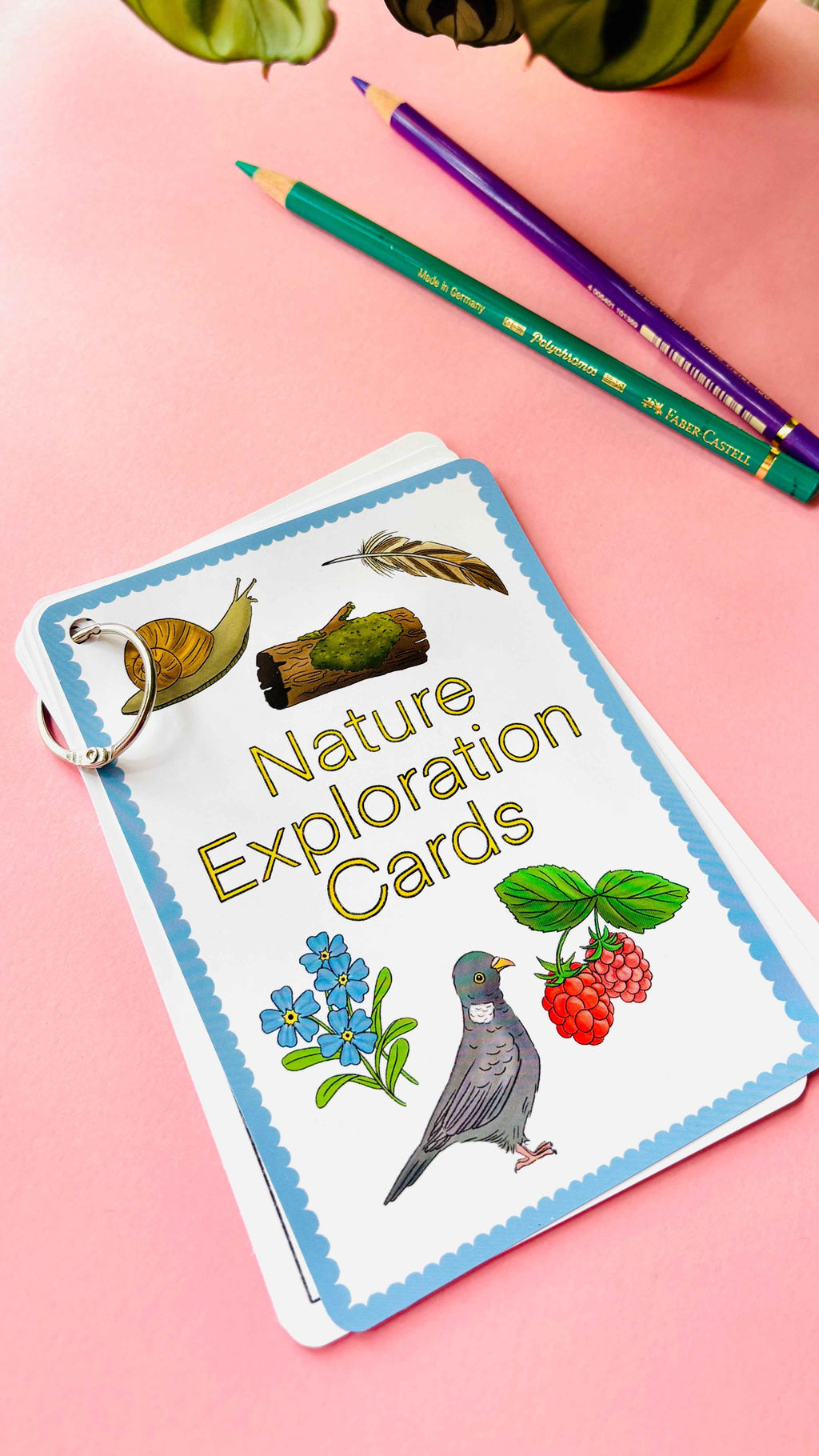 Nature Explorer Scavenger Hunt Cards- Illustrated Educational Activity Cards for Kids