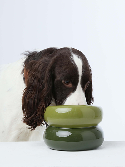 Soufflé Pet Bowl Avocado Green