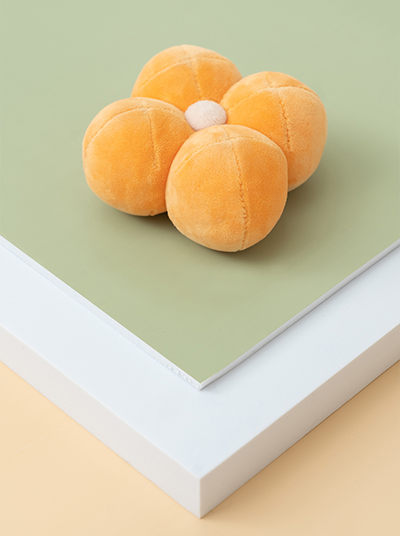 Paradise Pet Toy with Hidden Treats Pocket