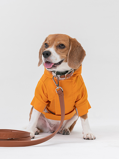 Tribeca Adjustable Velcro Raincoat for Dogs in Egg Yolk