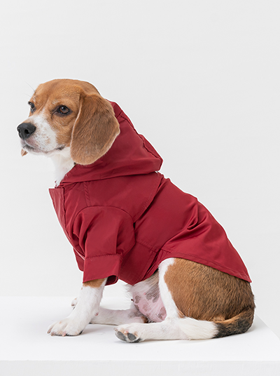 Tribeca Adjustable Velcro Raincoat in Burgundy