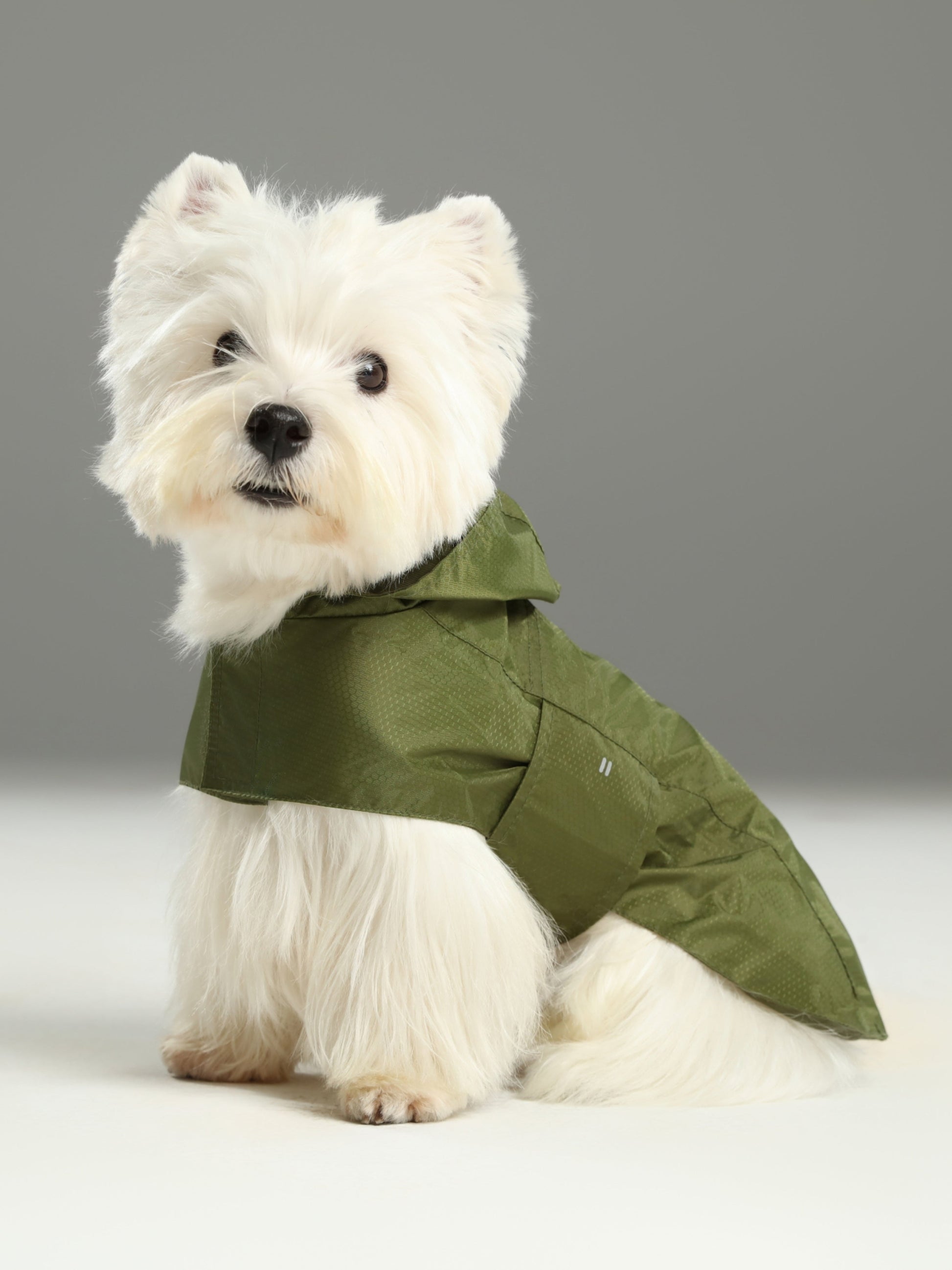 Capsule Raincoat in Green