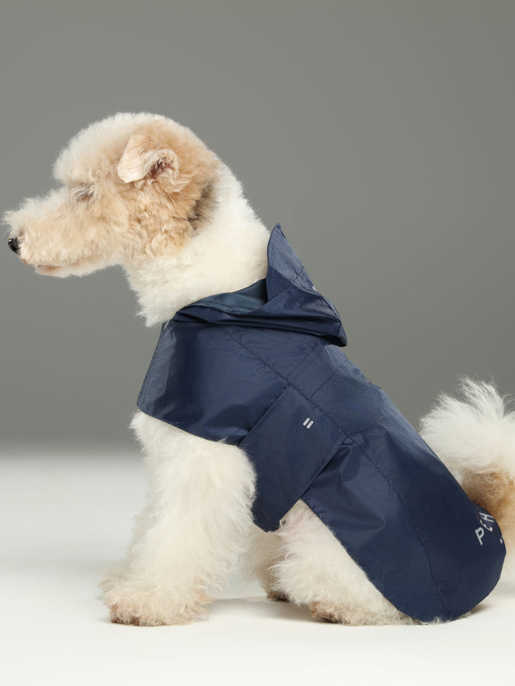 Capsule Raincoat in Blue for Dogs and Cats
