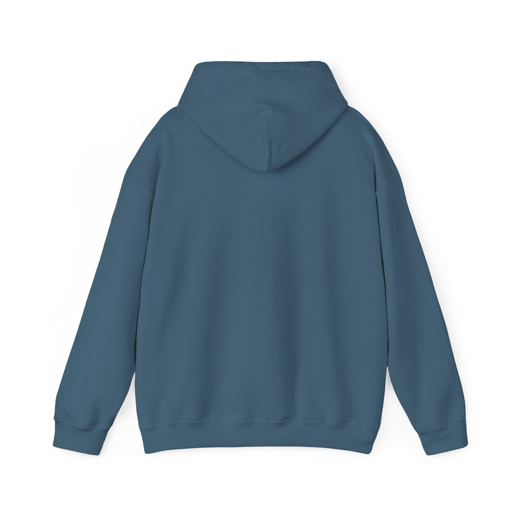 Just an Analog Guy in a Digital World Hooded Sweatshirt