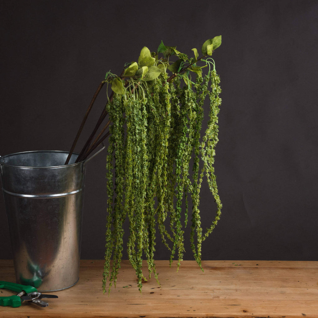 Lifelike artificial trailing stem in vibrant green, cascading plastic foliage for home decor, 100 cm long by Sostter at brixbailey.com