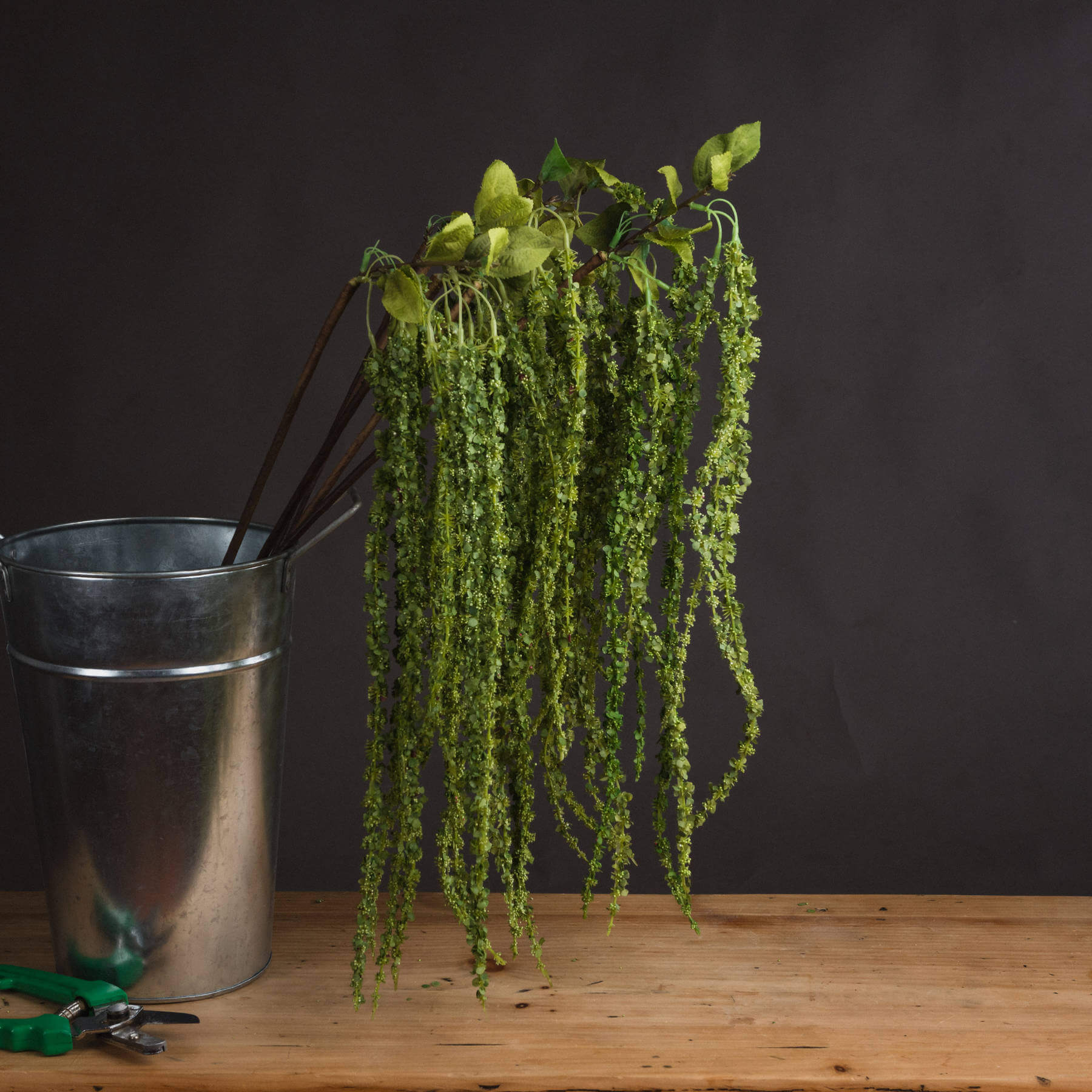 Lifelike artificial trailing stem in vibrant green, cascading plastic foliage for home decor, 100 cm long by Sostter at brixbailey.com