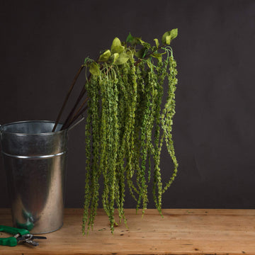 Lifelike artificial trailing stem in vibrant green, cascading plastic foliage for home decor, 100 cm long by Sostter at brixbailey.com