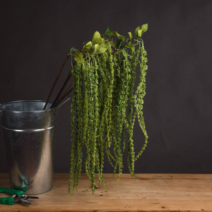 Lifelike artificial trailing stem in vibrant green, cascading plastic foliage for home decor, 100 cm long by Sostter at brixbailey.com