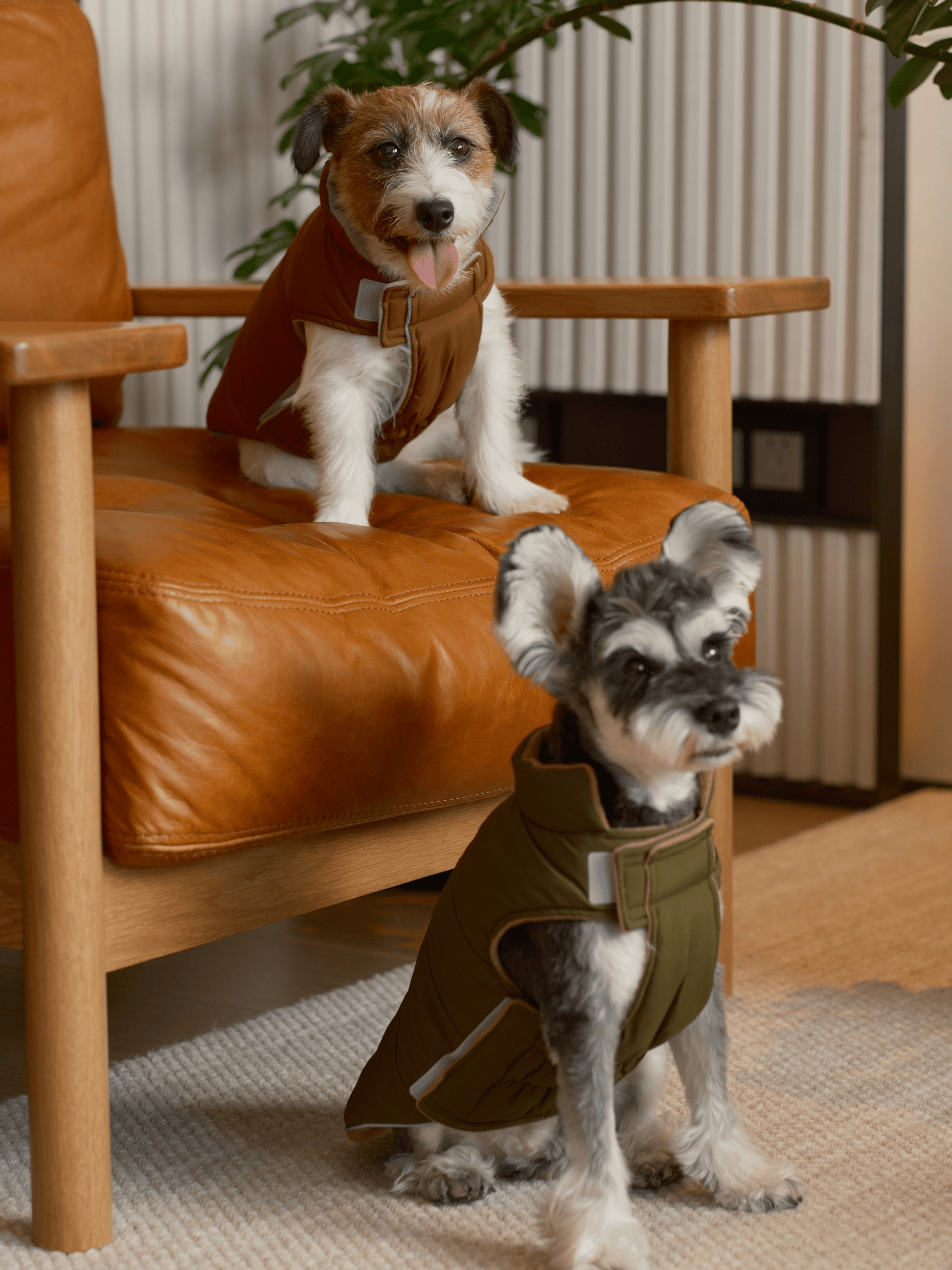 Reversible Dog Vest Jacket in Green and Brown