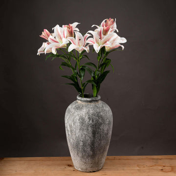 Handcrafted white stargazer lily with pink accents, hyper-realistic silk floral stem for home decor   

- **Keywords included:** stargazer lily, silk floral, home decor, hyper-realistic  
- **Clear description:** Visually describes the flowerâ€™s color, material, and purpose  
- **SEO & accessibility optimized:** Concise, avoids redundancy, prioritizes key product attributes by Sostter at brixbailey.com