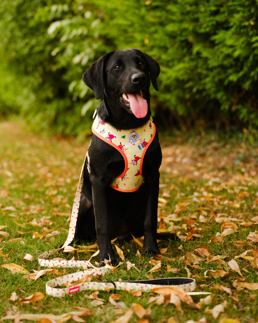 Moomins Yellow Sunrise Dogs Padded Harness by Soho Poms