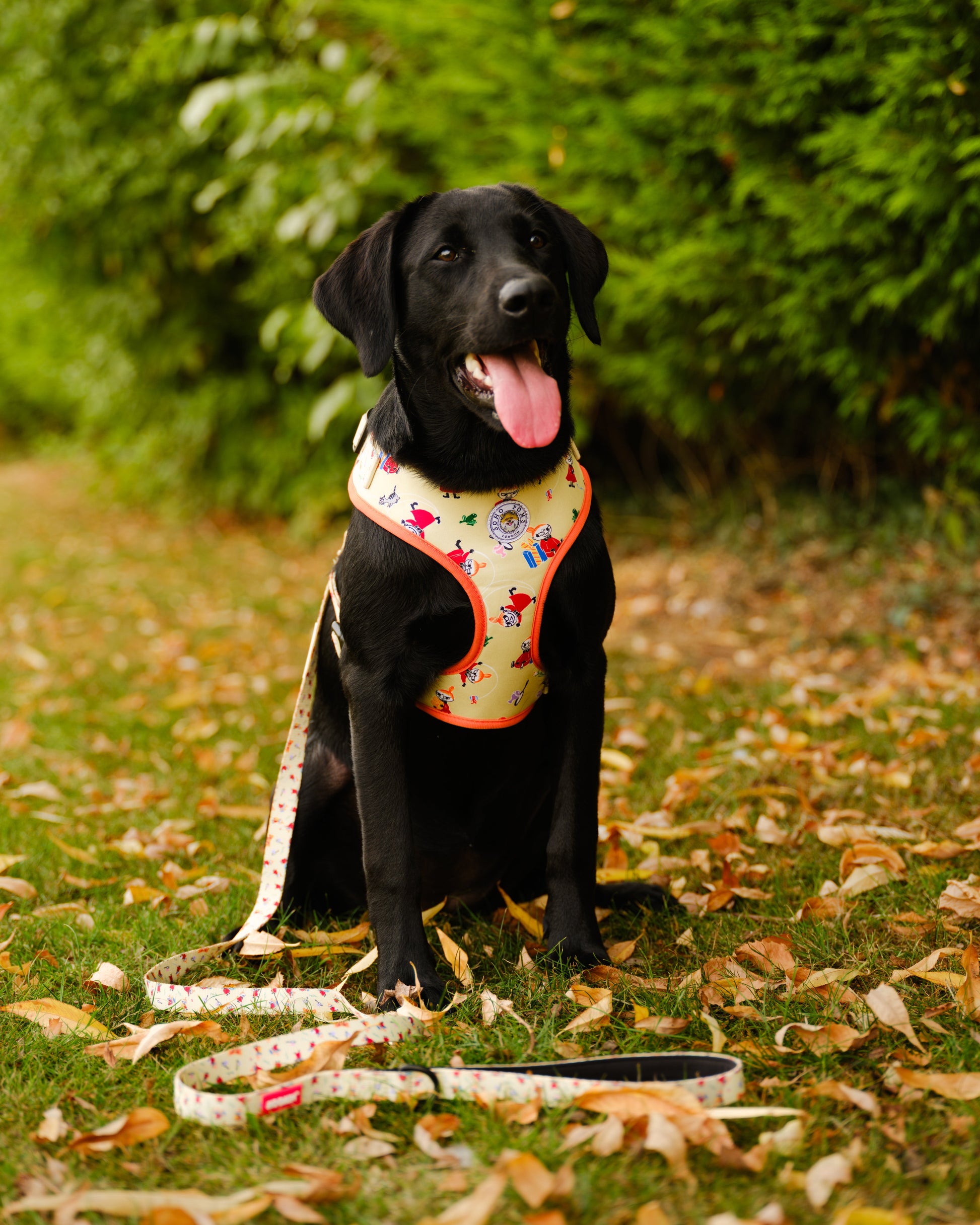 Moomins Yellow Sunrise Dogs Padded Harness by Soho Poms