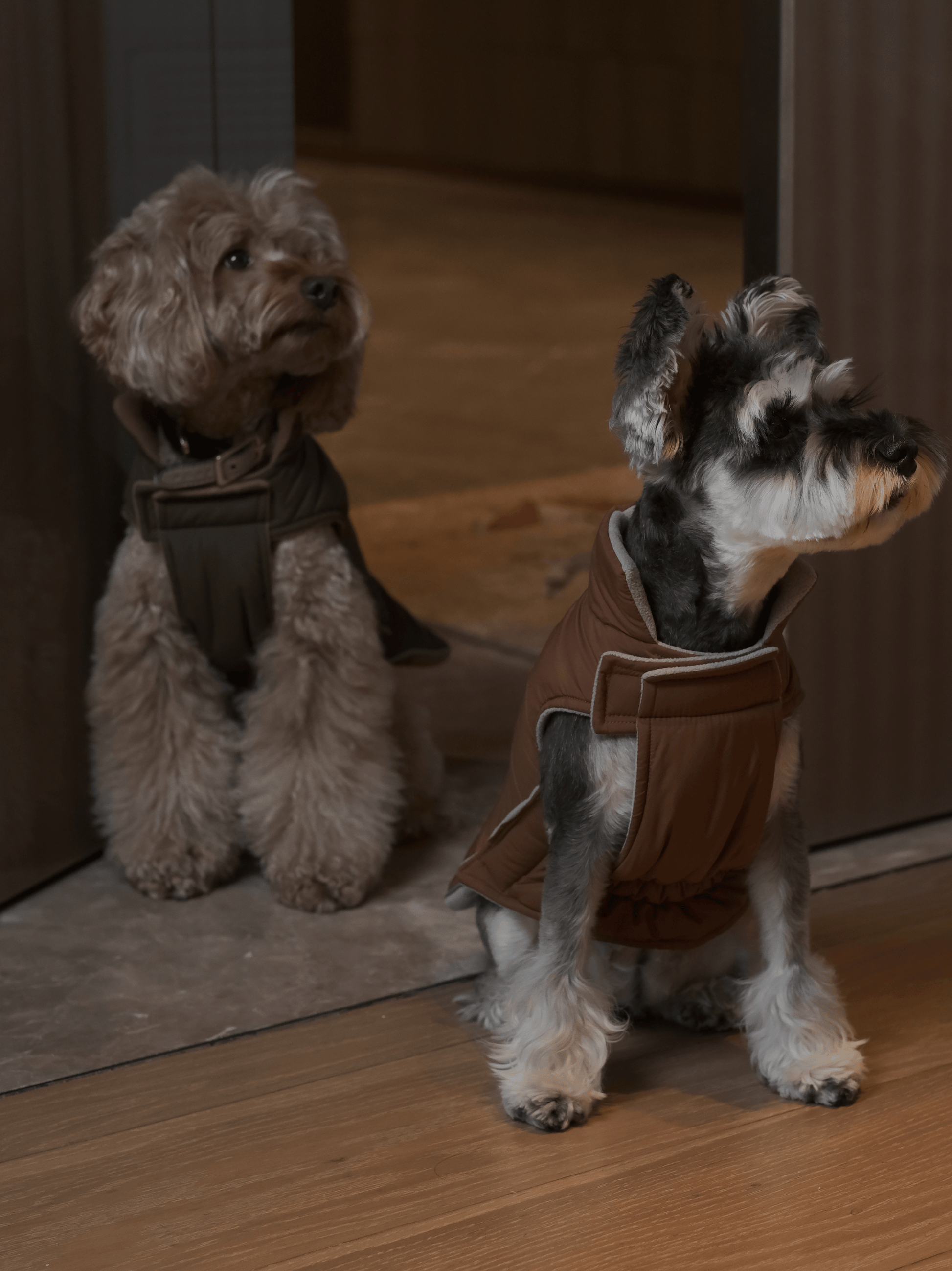 Reversible Dog Vest Jacket in Orange and Grey