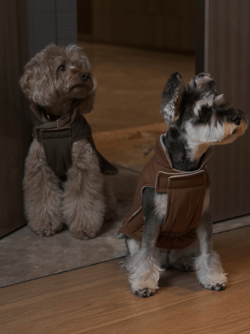 Reversible Dog Vest Jacket in Orange and Grey