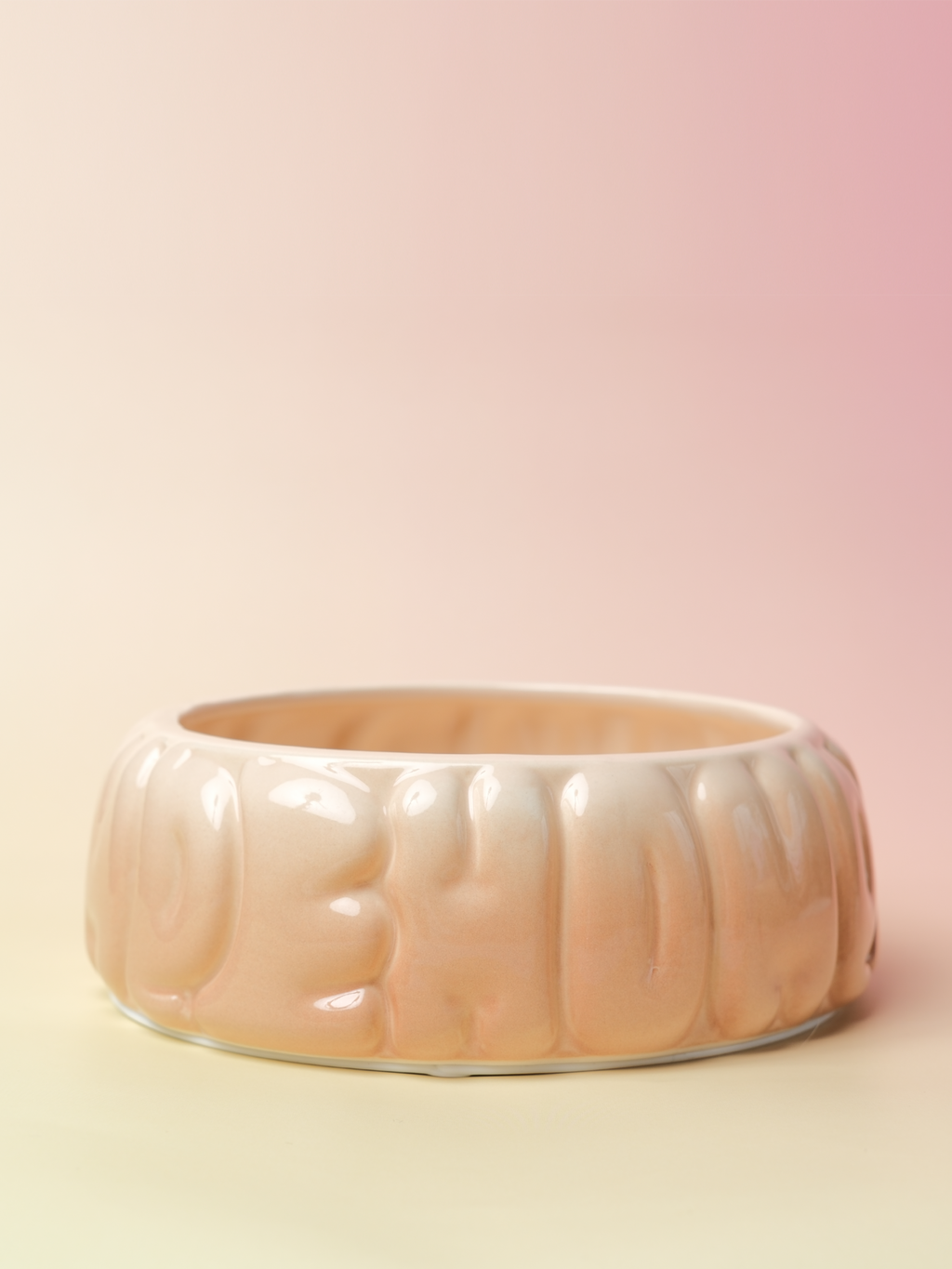 Gradient Caramel Pet Bowl for Dogs and Cats