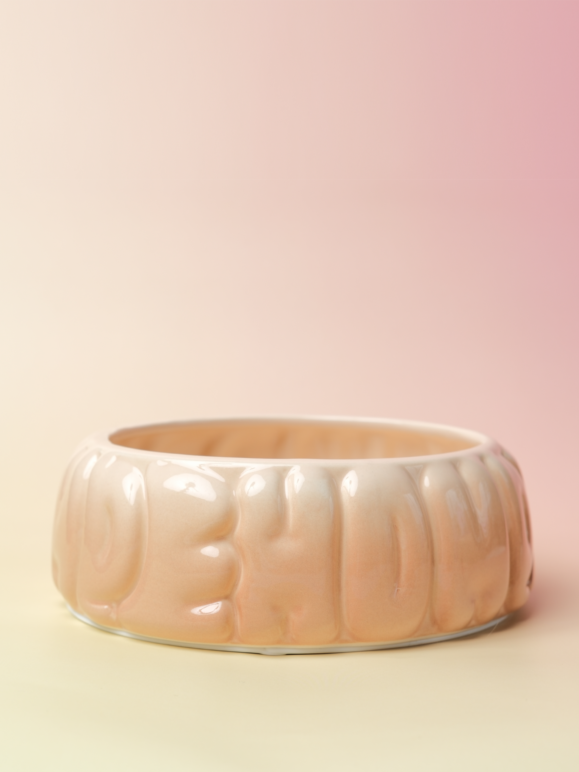 Gradient Caramel Pet Bowl for Dogs and Cats