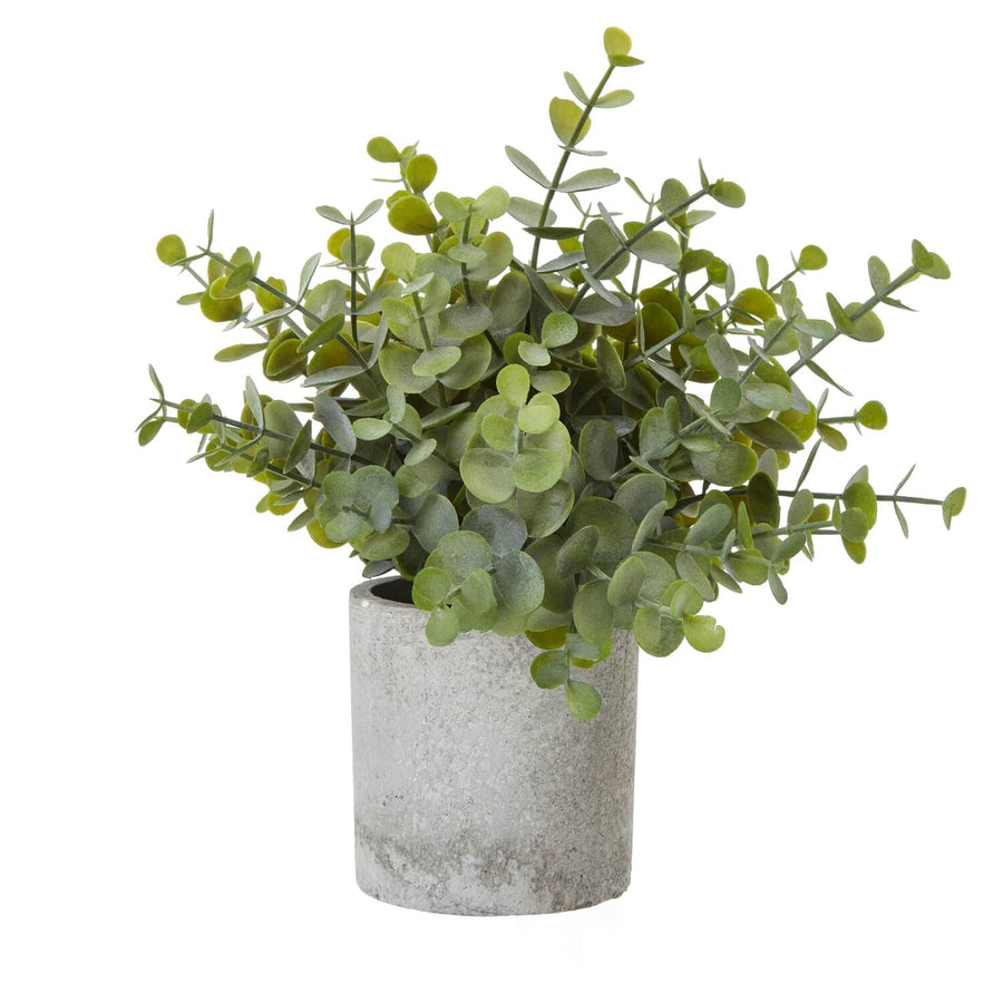 Small artificial eucalyptus plant in grey pot with realistic sage green leaves, perfect for desks or shelves by Sostter at brixbailey.com