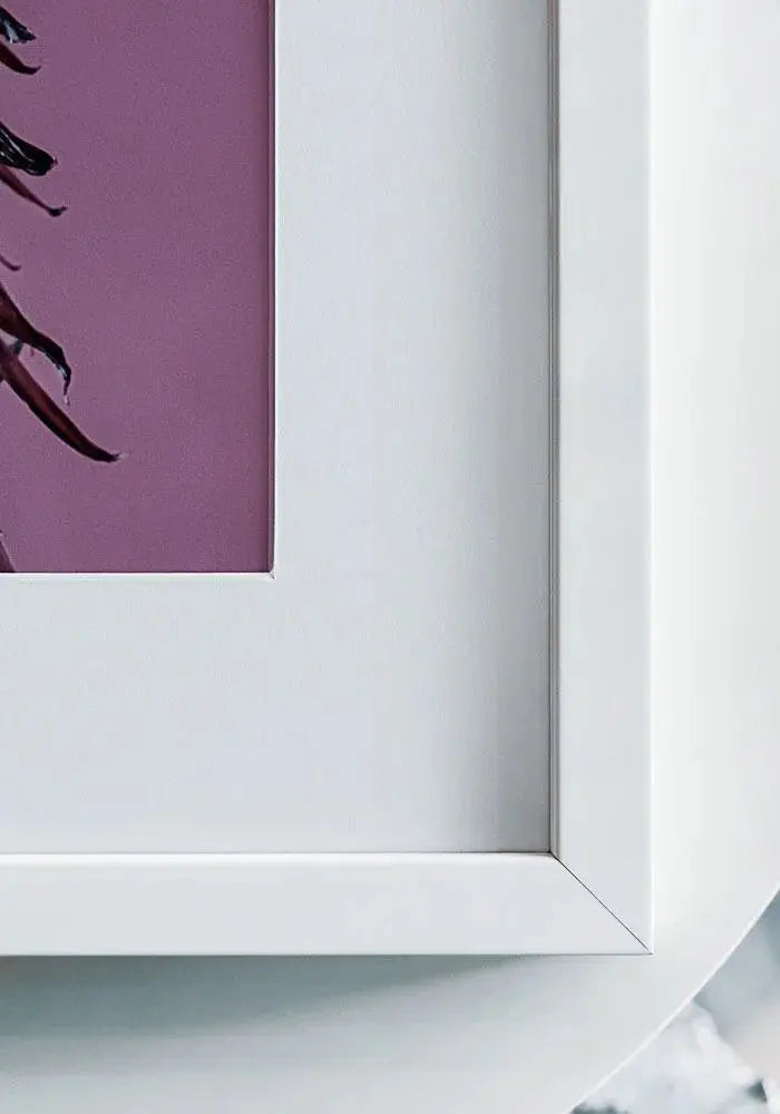 Robin Framed Print with Mat A4 Wildlife Wall Art