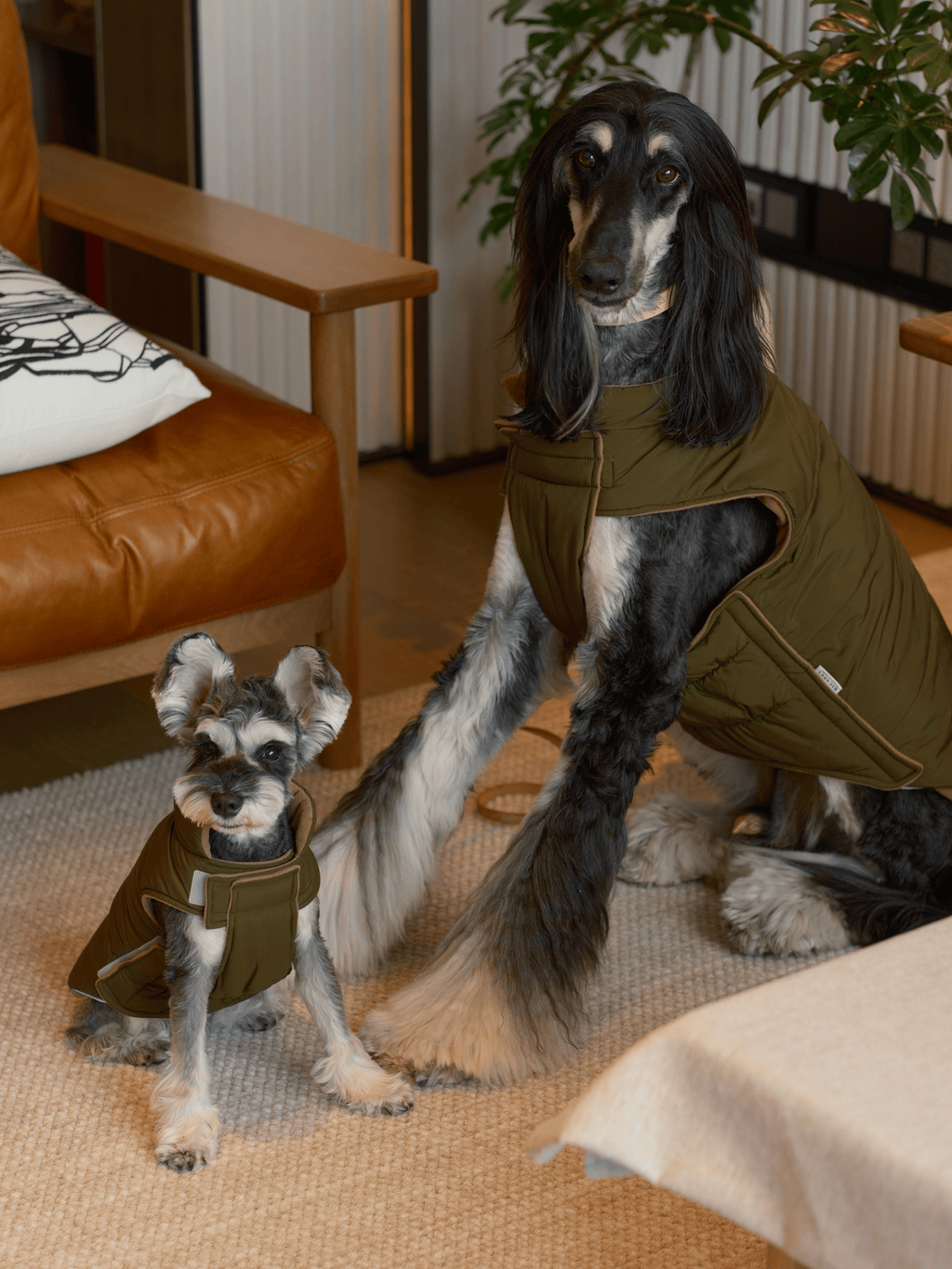 Reversible Dog Vest Jacket in Green and Brown