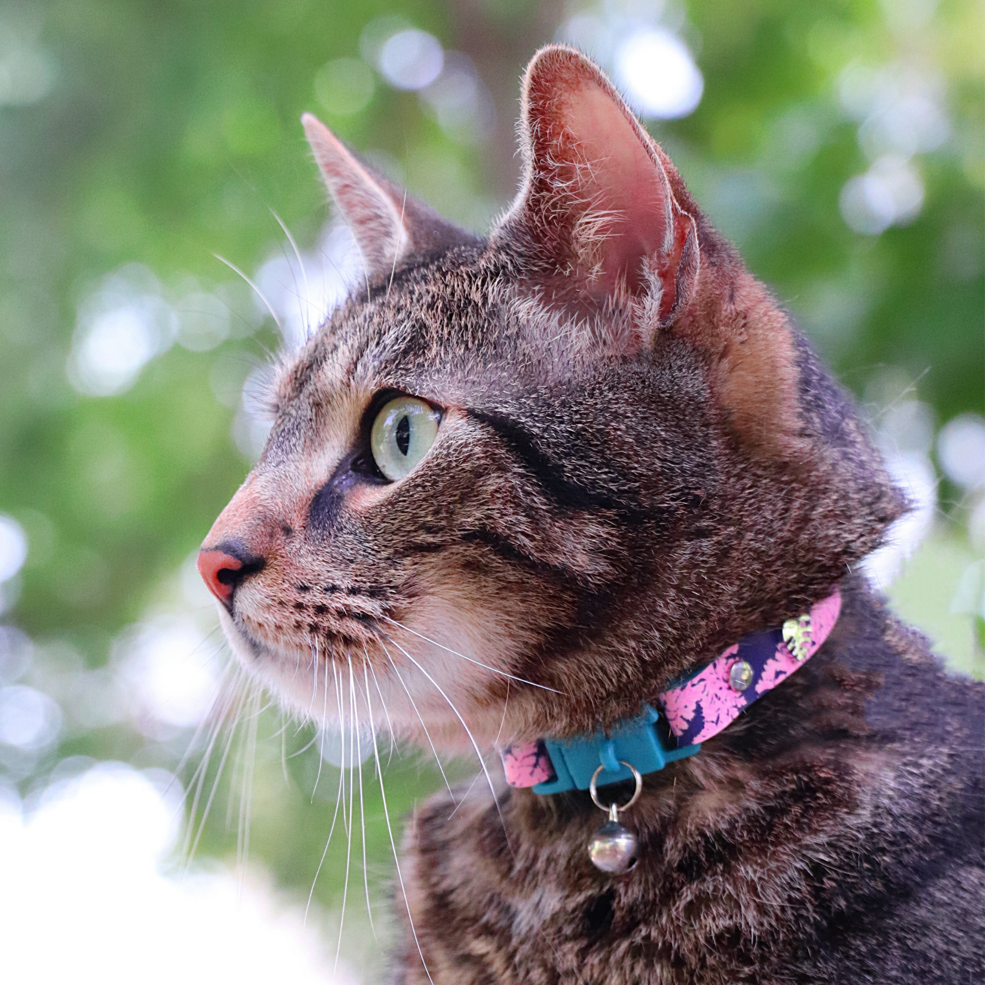 KITTYRAMA BOTANICALS FERN CAT COLLAR - Quick Release, Breakaway, Hypoallergenic