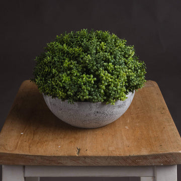 Lifelike artificial plant with spherical foliage in grey stone-effect pot, zero-maintenance home decor. by Sostter at brixbailey.com