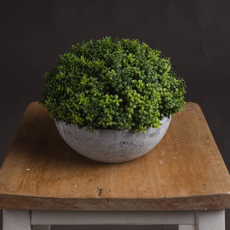 Lifelike artificial plant with spherical foliage in grey stone-effect pot, zero-maintenance home decor. by Sostter at brixbailey.com