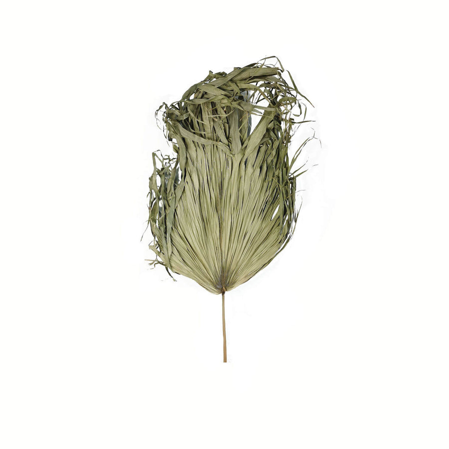 Dried palm frond decor, 95cm tall, natural sun-dried texture, beige-brown tones, organic statement piece for modern interiors by Sostter at brixbailey.com