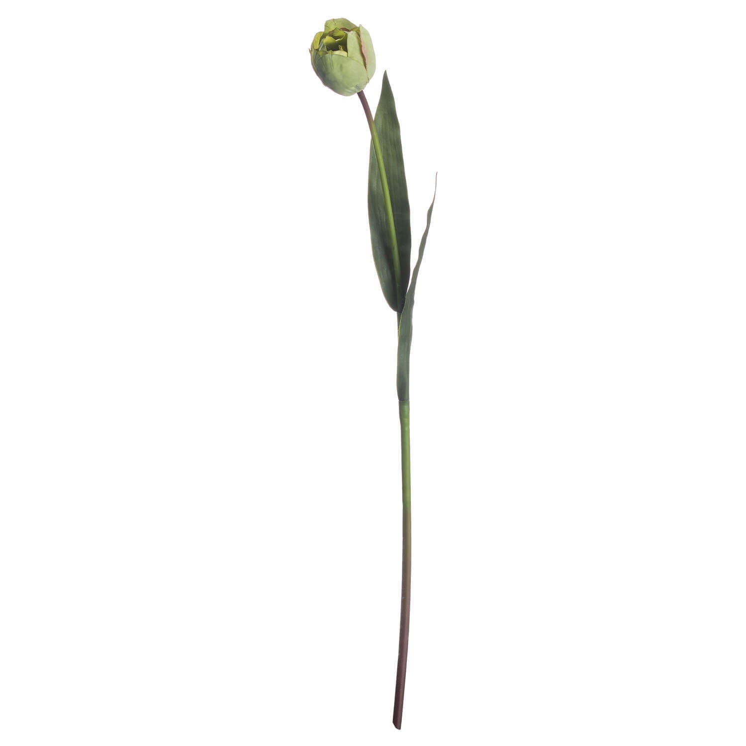 Artificial green tulip stems, ultra-realistic plastic flowers, 50cm tall, perfect for spring floral arrangements by Sostter at brixbailey.com