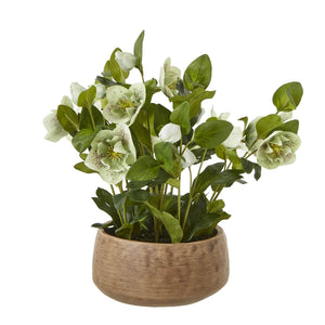 Lifelike faux Hellebore plant in vibrant green with realistic petals, potted in elegant taupe ceramic container.  by Sostter at brixbailey.com