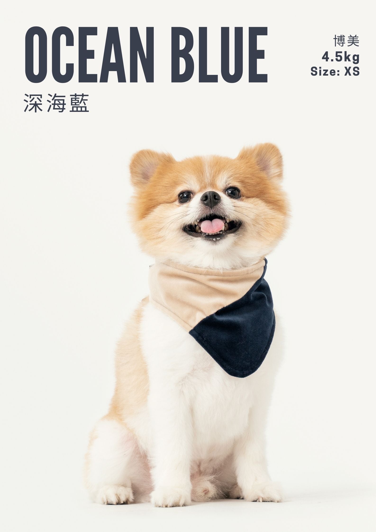 2 in 1 Bandana Collar Beige and Blue