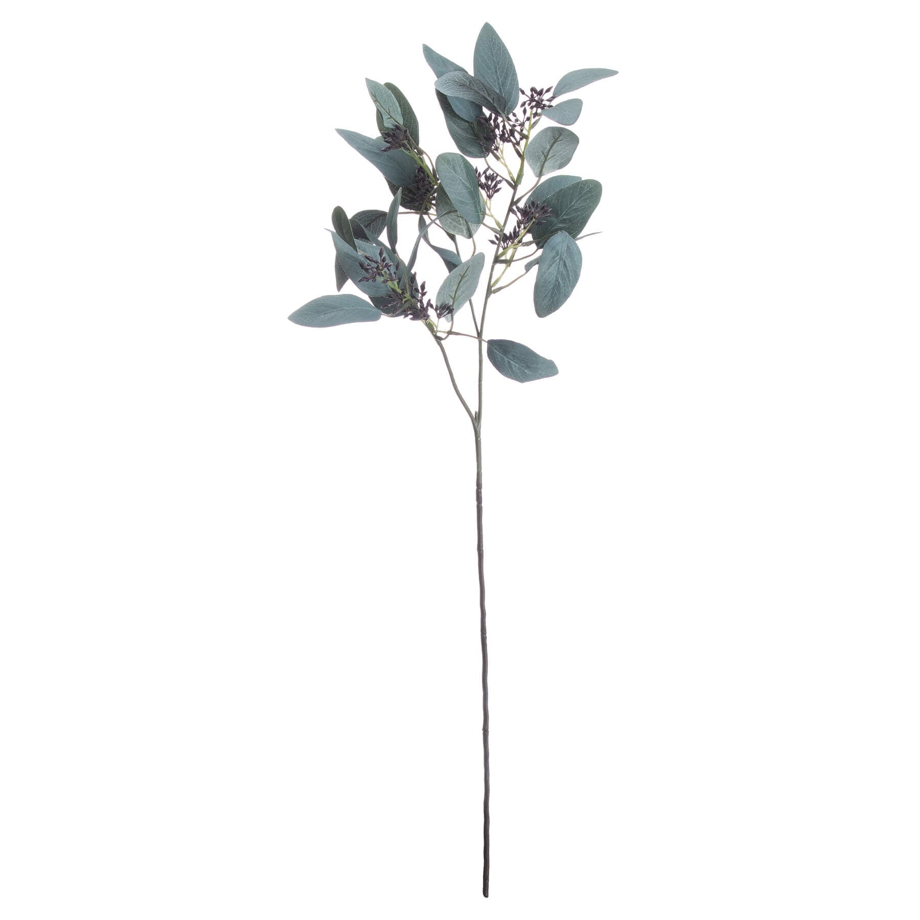 Artificial seeded eucalyptus stem with silvery-green leaves and feathery pods, 85 cm tall for home decor arrangements by Sostter at brixbailey.com
