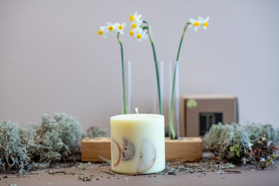 Handmade Vanilla Scented Candle with Citrus Decor - SILVA Collection - Cozy & Natural Elegance by TL Candles at www.brixbailey.com